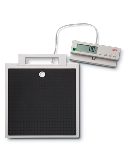 Professional Floor Scales